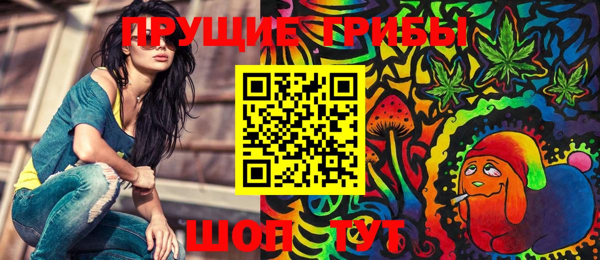Мичуринск  Псилоцибиновые грибы прущие грибы  Вход с VPN  купить  цена  Псилоцибиновые грибы Magic Shrooms 